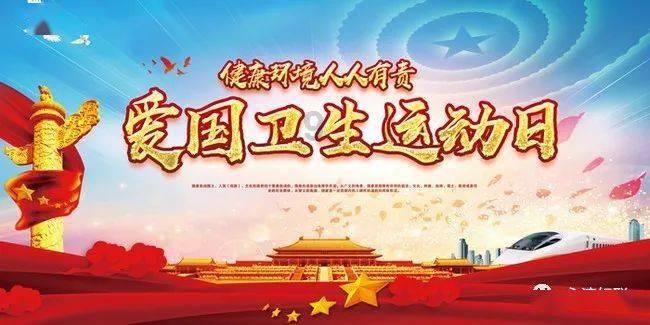 漂亮鹦鹉救援
